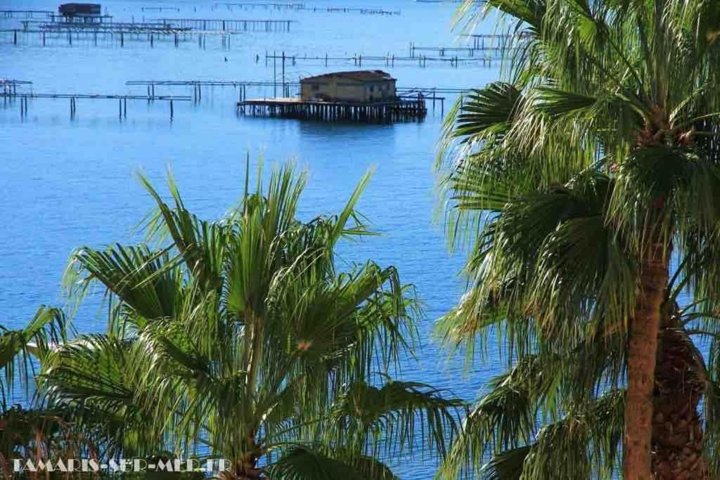 Appartamento Les Pieds Dans L'Eau La Seyne-sur-Mer Esterno foto